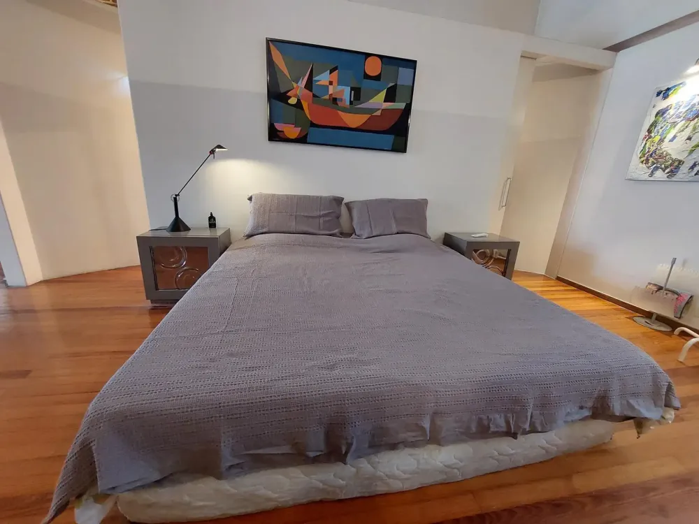 Двухкомнатная квартира лофт в Палермо Буэнос-Айрес - изображение 10