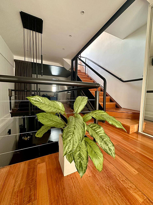 Трёхкомнатная квартира триплекс Буэнос-Айрес - изображение 15